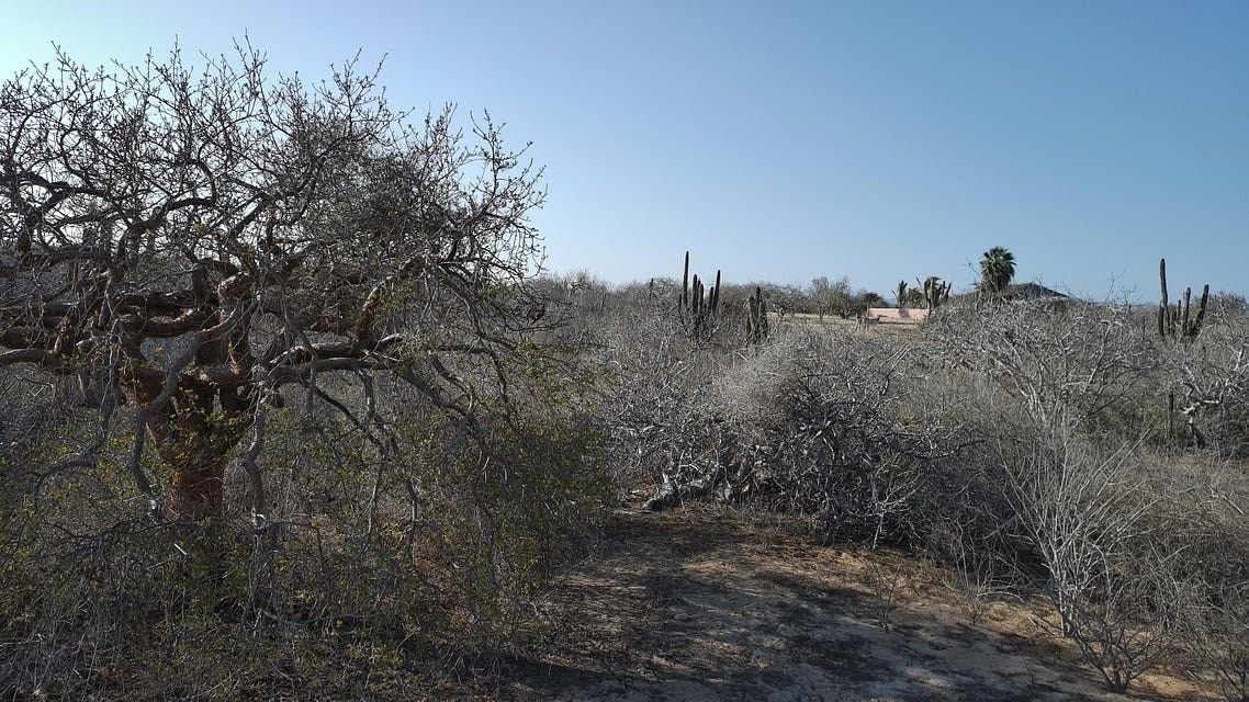 TERRENO EN VENTA EN MIGRI脩O - foto 4