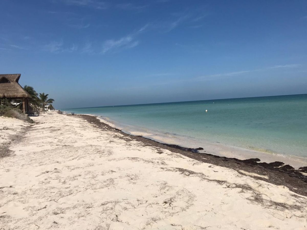 Terreno à venda na praia em San Benito, Yucatán, foto 1 de 9