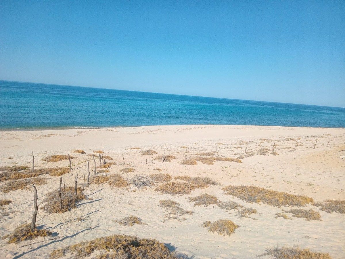 Terreno en venta con playa en Los Torotes, El Cardonal, La Paz, B.C.S., México., foto 1 de 7