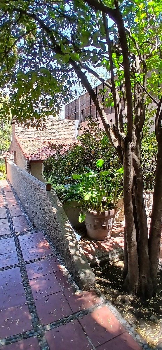 Casa en condominio en Lomas de Bezares, Miguel Hidalgo, foto 2 de 41