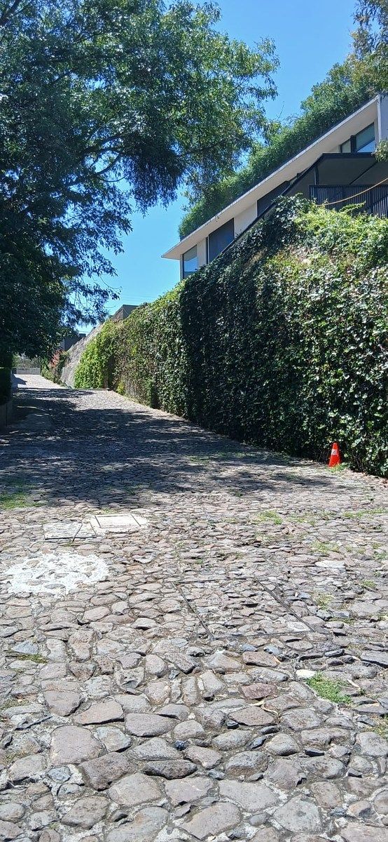 Casa en condominio en Lomas de Bezares, Miguel Hidalgo, foto 5 de 41