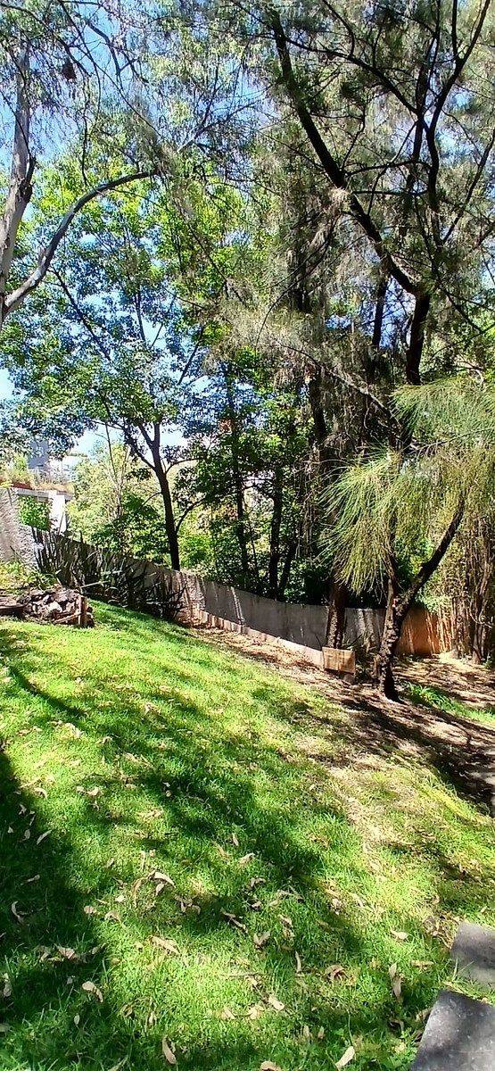 Casa en condominio en Lomas de Bezares, Miguel Hidalgo, foto 24 de 41