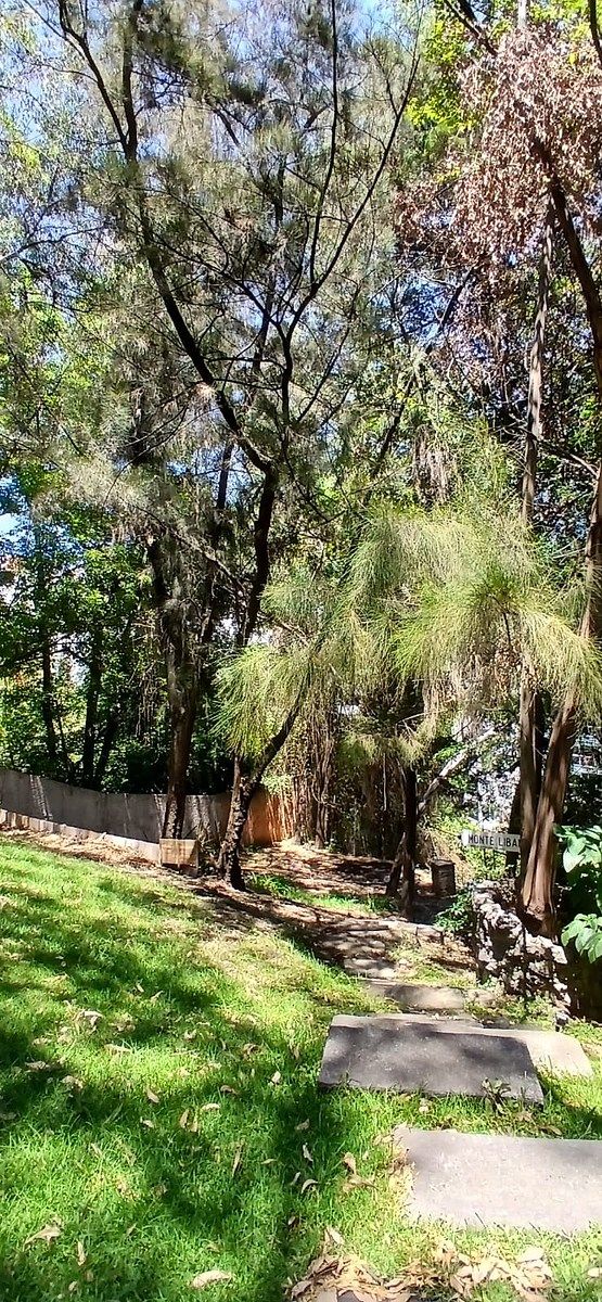 Casa en condominio en Lomas de Bezares, Miguel Hidalgo, foto 35 de 41