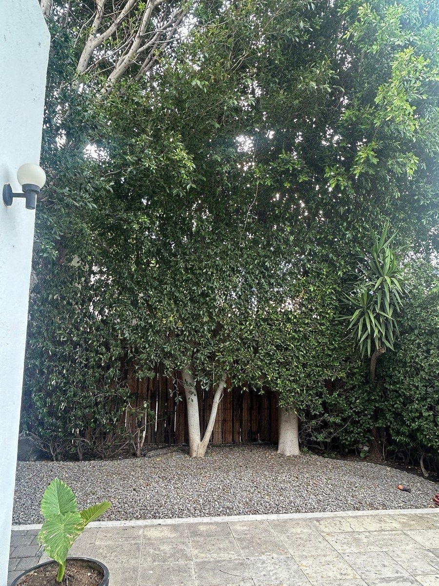 Casa em Lomas del Campanario II, Querétaro, foto 19 de 27