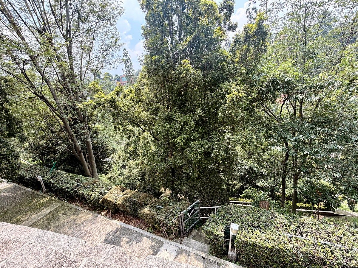Departamento en Lomas de Chapultepec II Sección, Miguel Hidalgo, foto 30 de 35