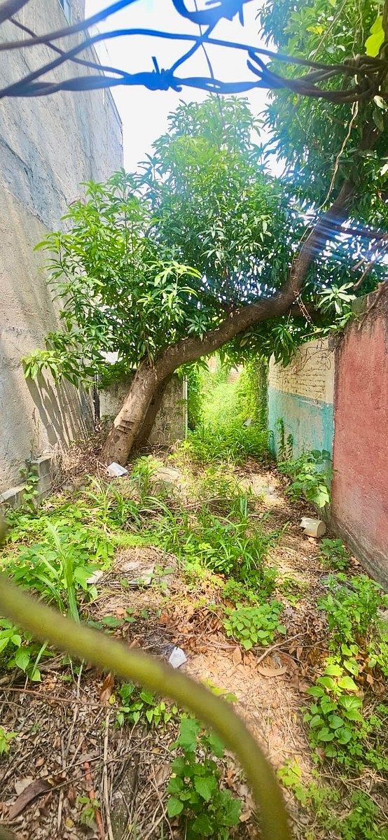 Casa en Adonahi, Tuxtla Gutiérrez, foto 3 de 14