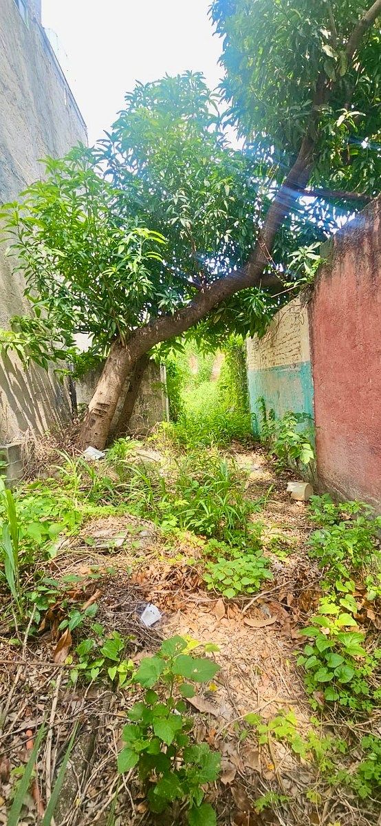 Casa en Adonahi, Tuxtla Gutiérrez, foto 6 de 14