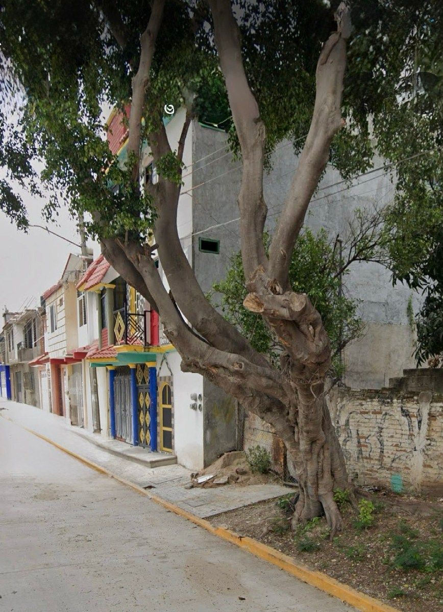 Casa en Adonahi, Tuxtla Gutiérrez, foto 2 de 14