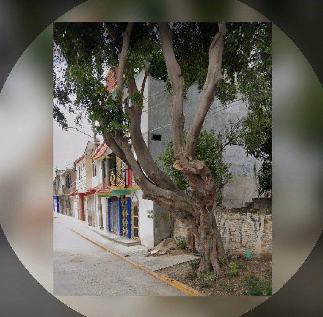 Casa en Adonahi, Tuxtla Gutiérrez, foto 11 de 14