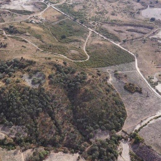 Terreno en Paseo de Los Agaves, Tlajomulco de Zúñiga, foto 6 de 8