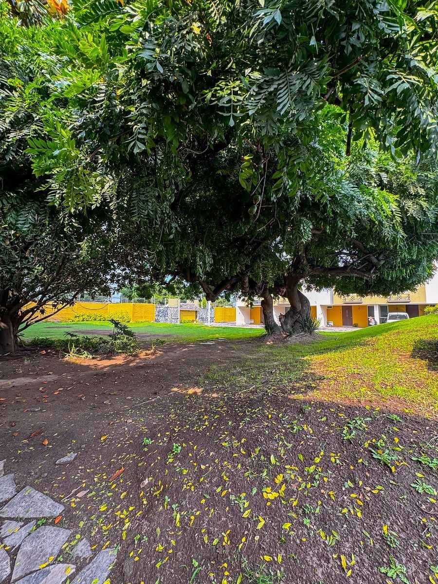 Casa en Santa Anita, Tlaquepaque, foto 2 de 19