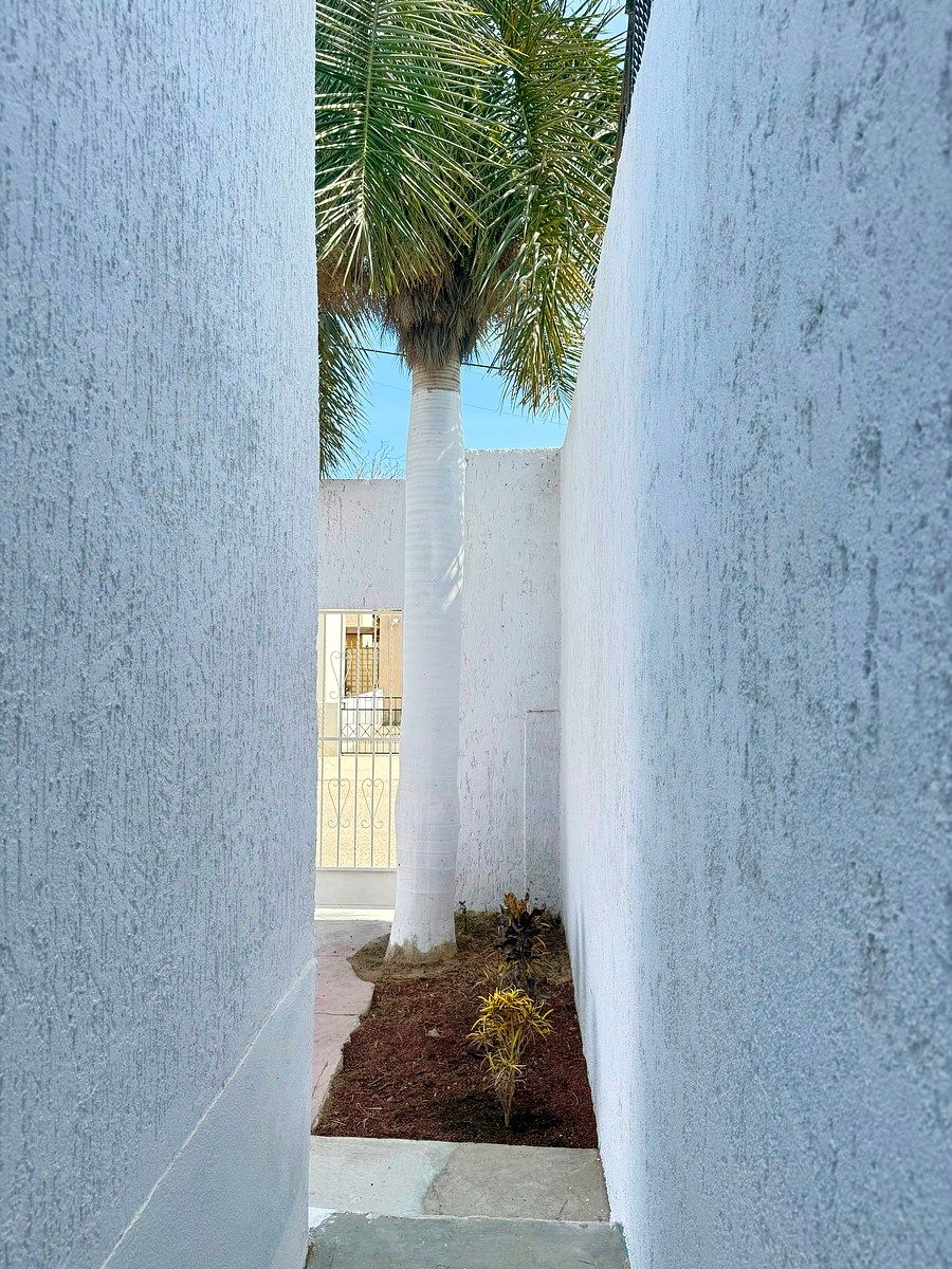 Casa em El Rosarito, Los Cabos, foto 8 de 13