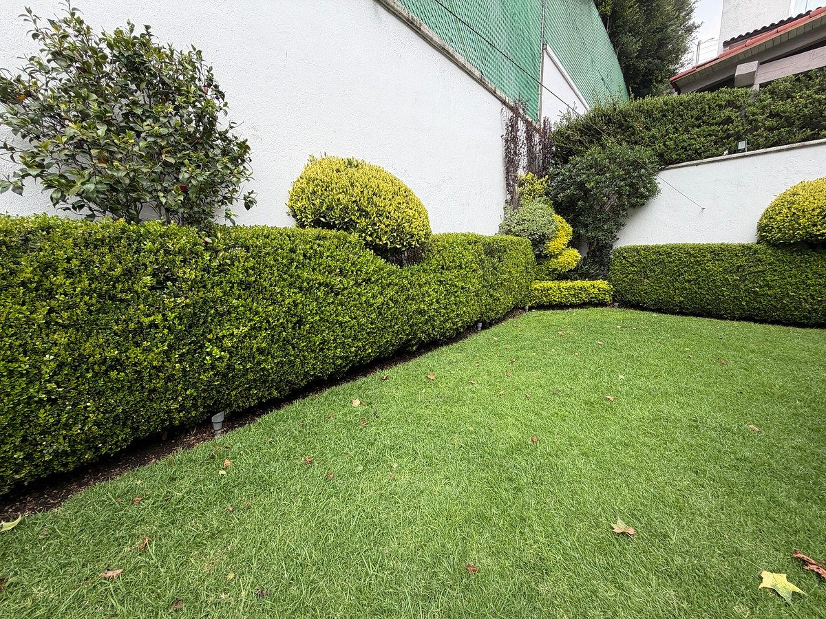 Casa en condominio en El Yaqui, Cuajimalpa de Morelos, foto 13 de 45