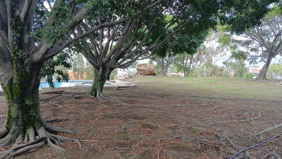 Lote em Copalita, Zapopan, foto 6 de 6