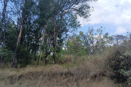 RURAL LAND FOR SALE IN HACIENDA MONTICHELLO ZAPOPAN