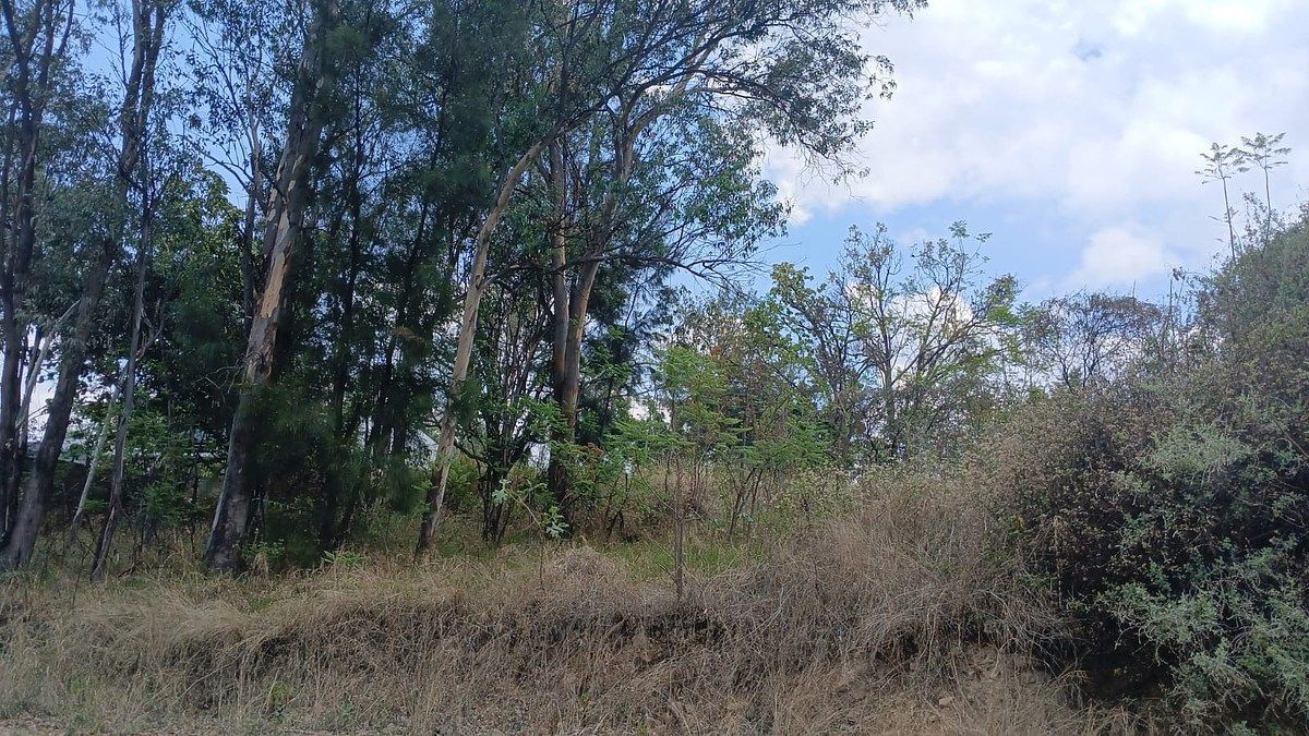 Lote em Copalita, Zapopan, foto 4 de 6