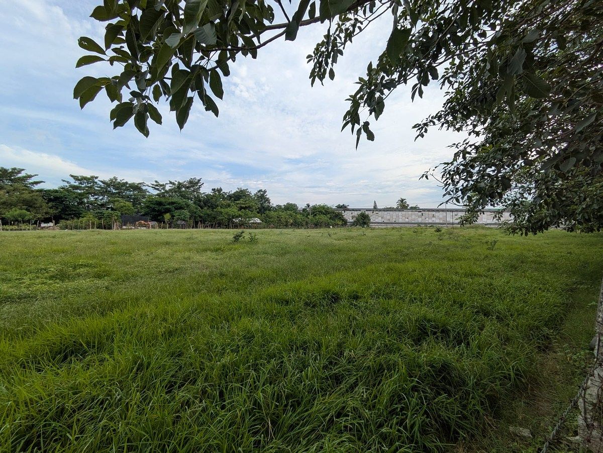 Lote comercial em Privada Los Sauces, Colima, foto 5 de 7