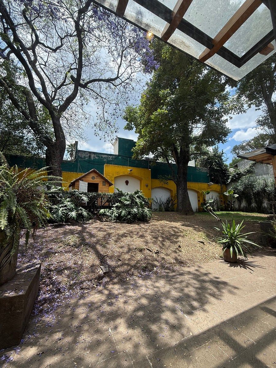 Casa en San Ángel Inn, Álvaro Obregón, foto 11 de 38