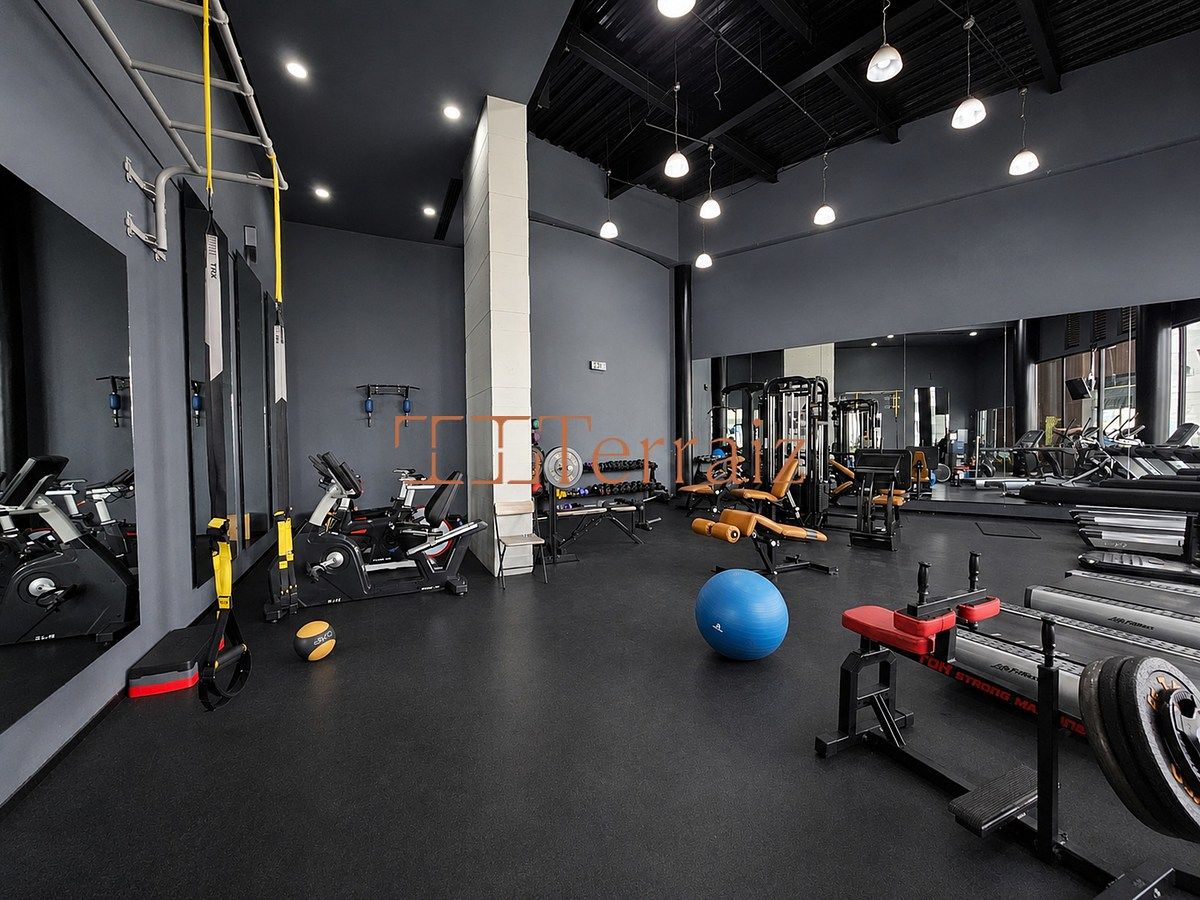 Gimnasio., foto 15 de 18