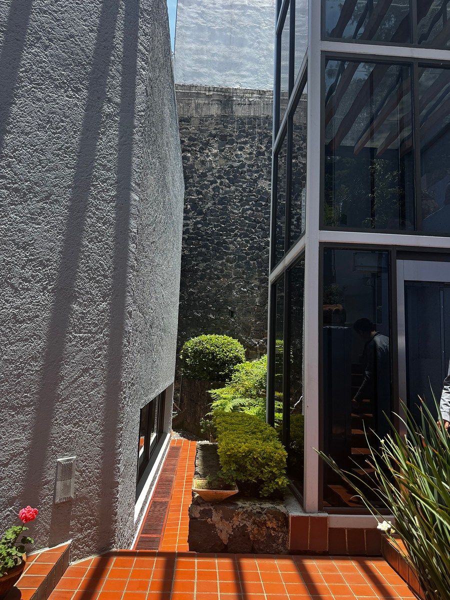 House in Jardines del Pedregal de San Ángel, Coyoacán, photo 11 of 41