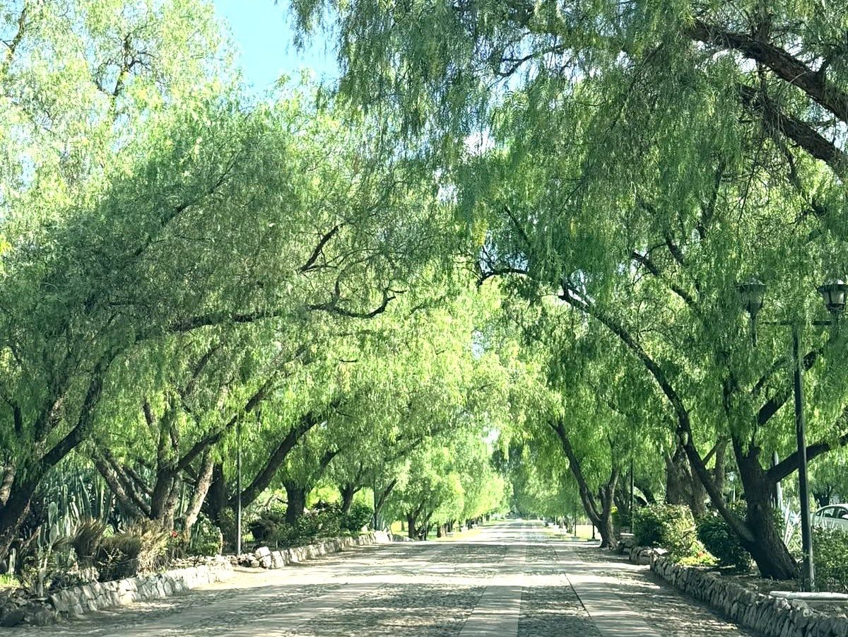 Lote em Balvanera, Corregidora, foto 4 de 8