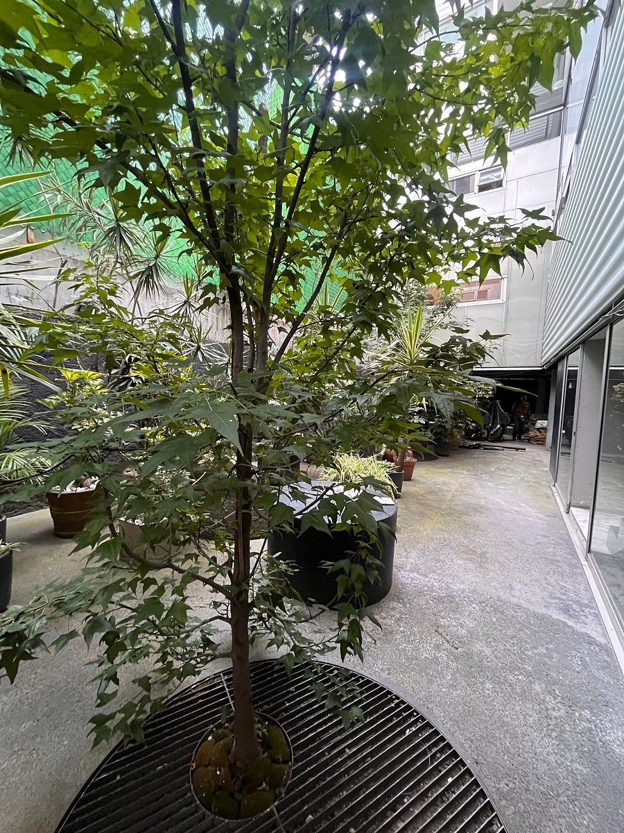 Apartamento em Hipódromo Condesa, Cuauhtémoc, foto 16 de 17
