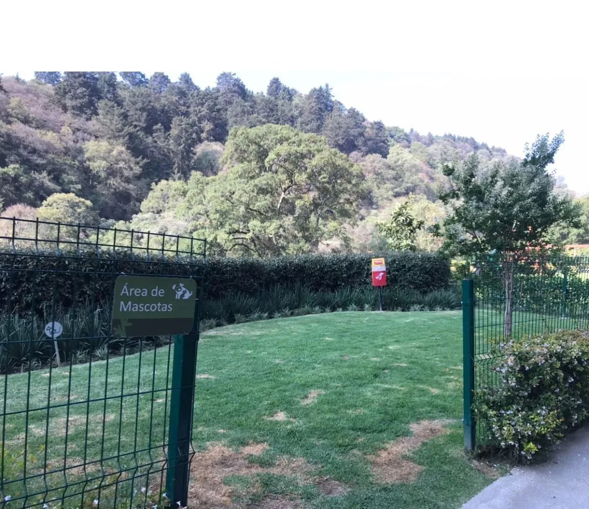 Apartamento em San Mateo Tlaltenango, Cuajimalpa de Morelos, foto 26 de 32