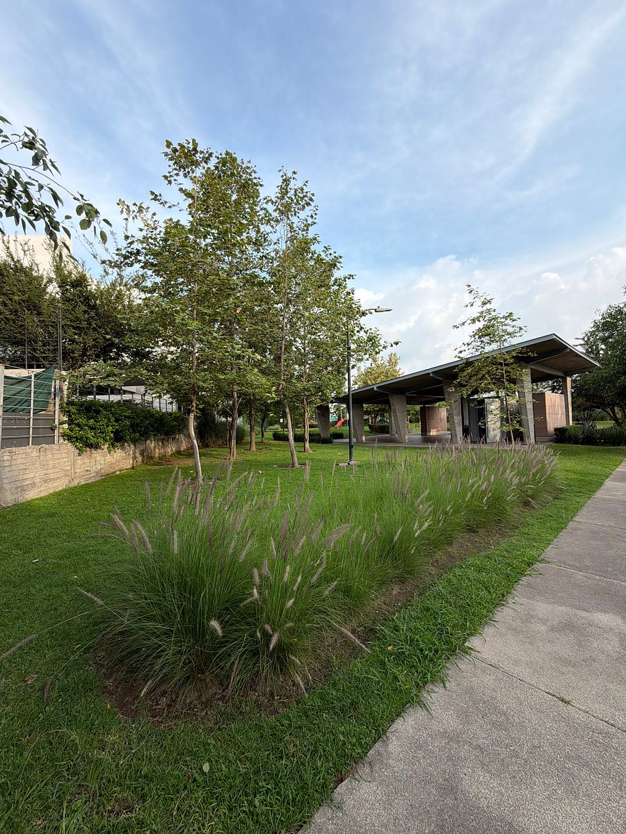 House in Bosques Vallarta, Zapopan, photo 17 of 18
