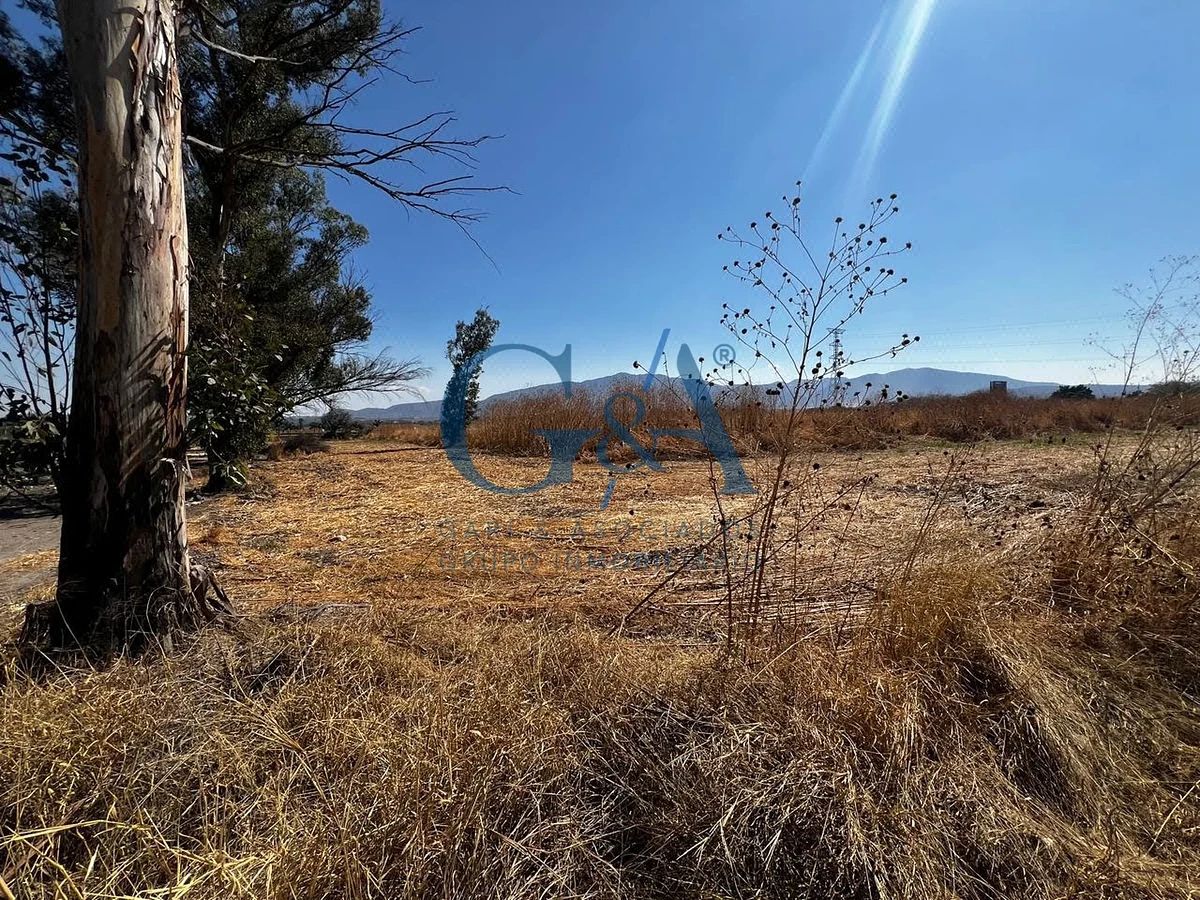 LAND FOR SALE IN IXTLAHUACAN DE LOS MEMBRILLOS - foto 2