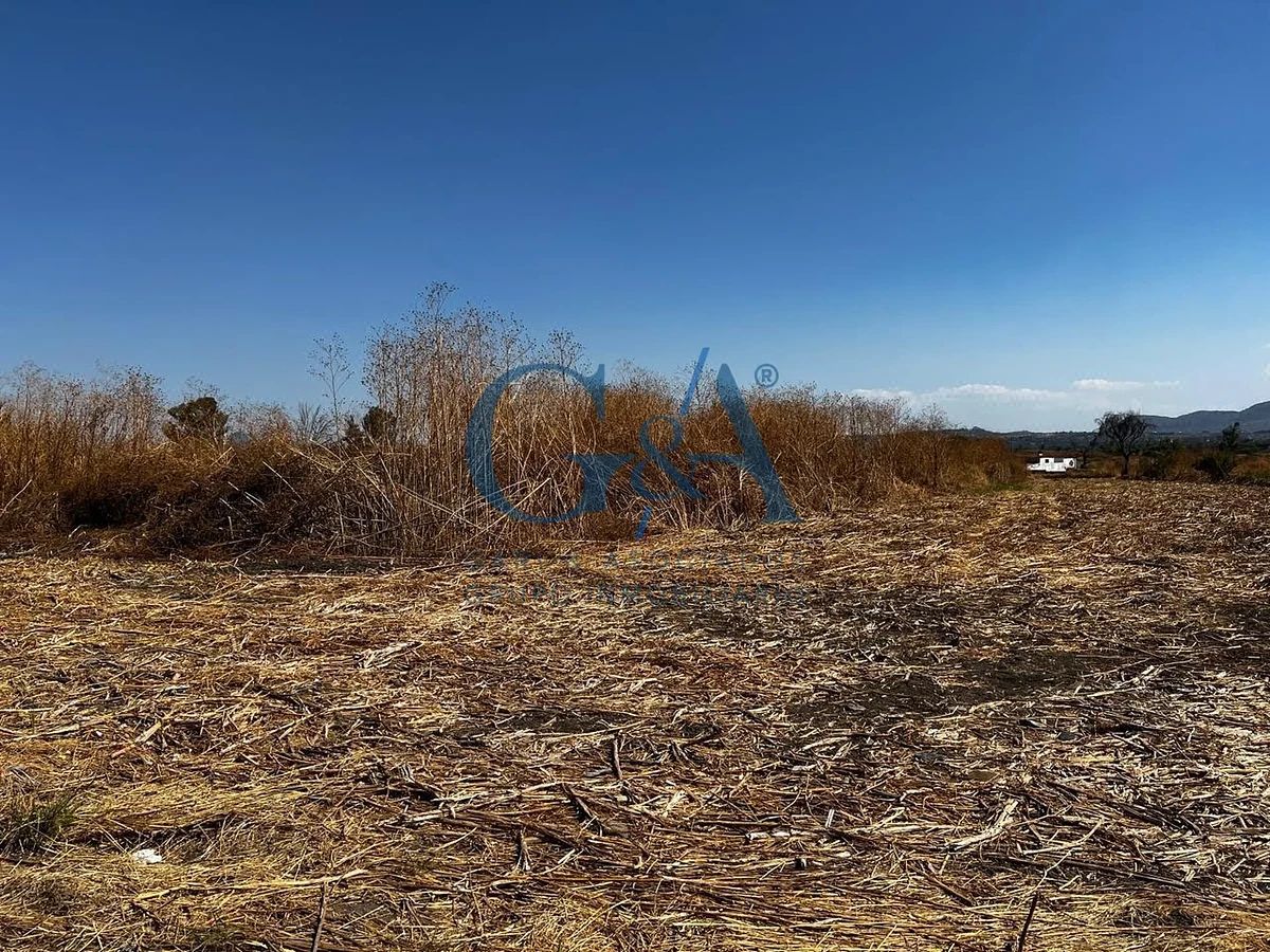 LAND FOR SALE IN IXTLAHUACAN DE LOS MEMBRILLOS - foto 3