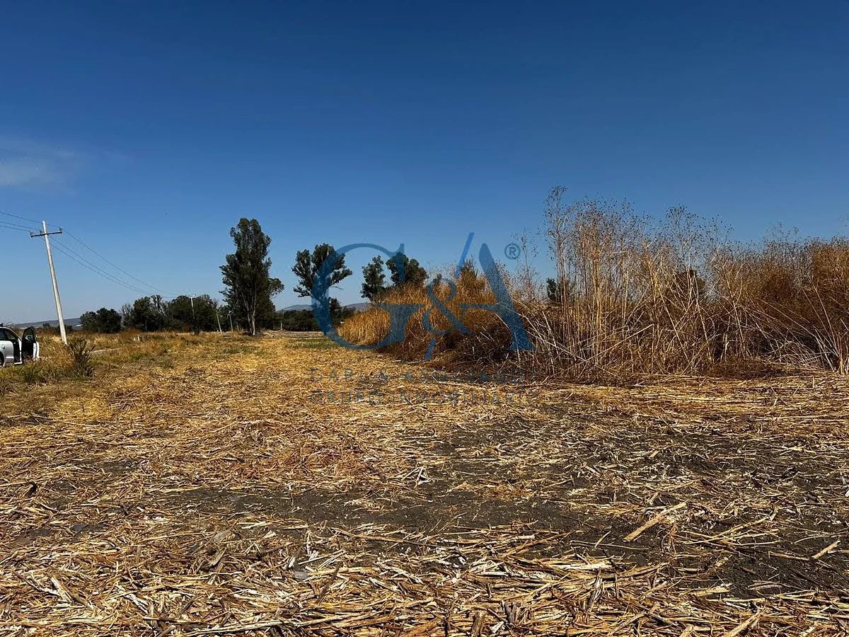 LAND FOR SALE IN IXTLAHUACAN DE LOS MEMBRILLOS - foto 4
