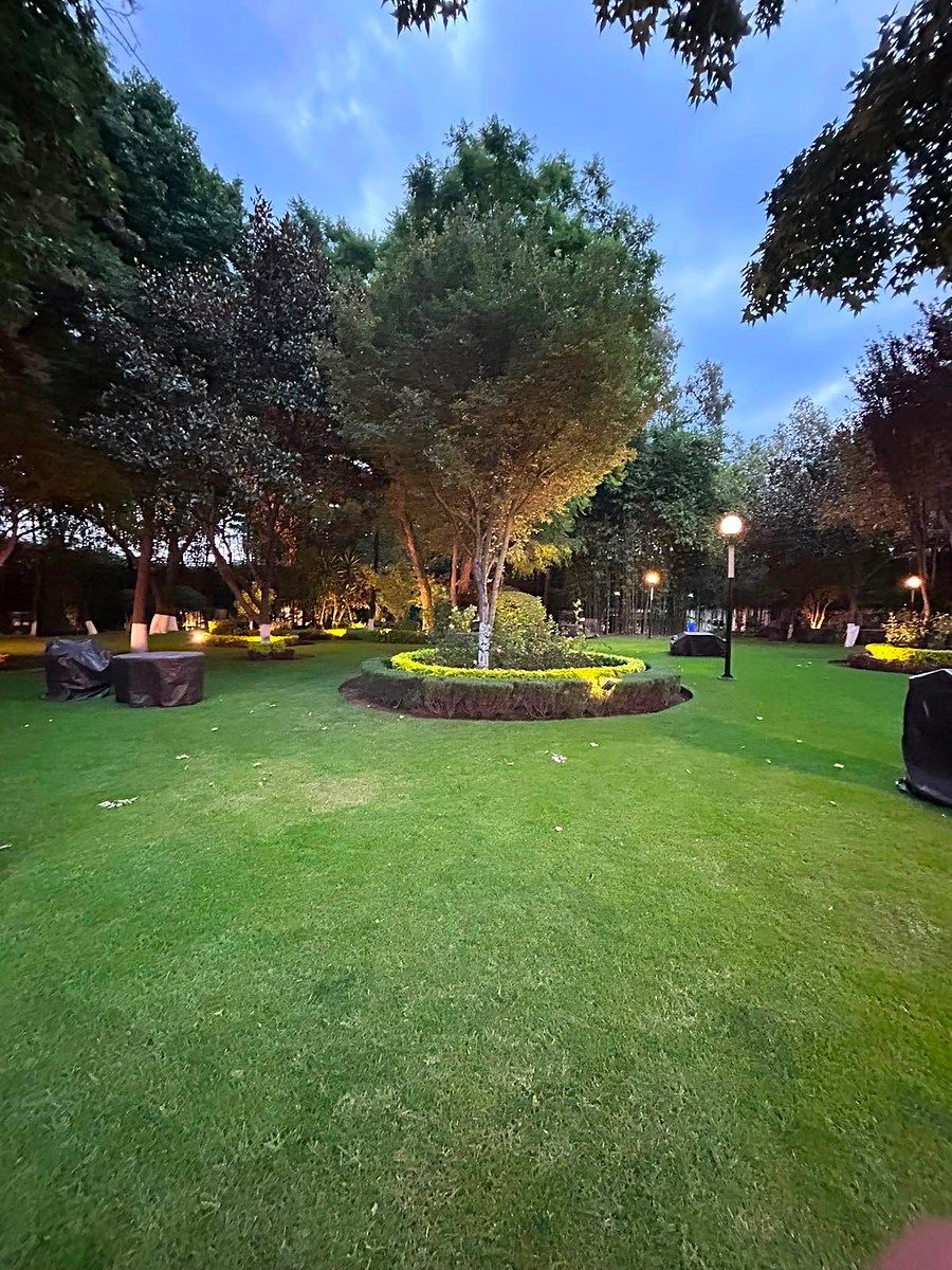 Apartamento para Aluguel em Lomas de Chapultepec - 3R/2.5/2E - Amenidades - 250m2, foto 1 de 29
