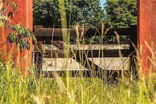 Terreno en Santa María, Cansahcab, foto 24 de 43