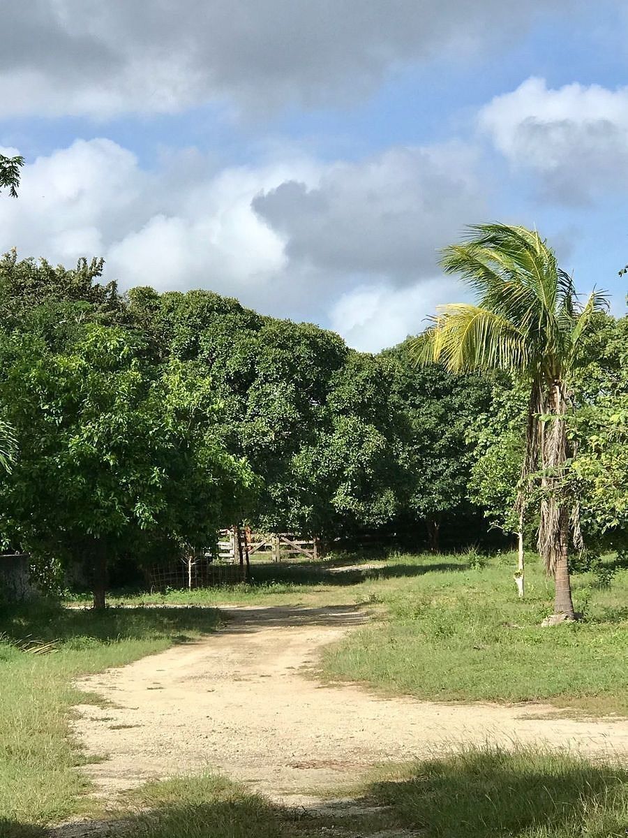 Terreno en Santa María, Cansahcab, foto 32 de 43
