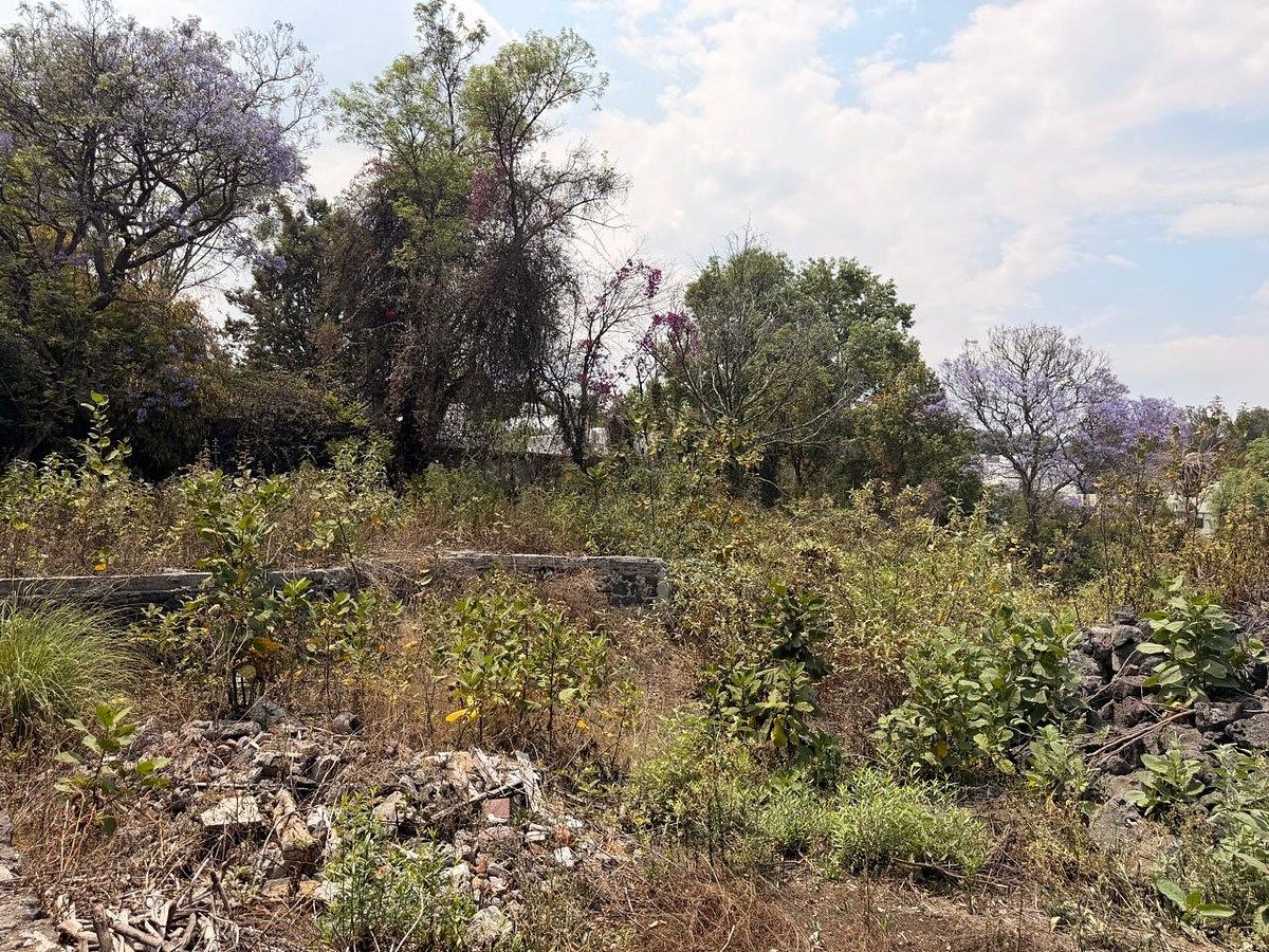 Lote em San Jerónimo Lídice, La Magdalena Contreras, foto 5 de 16