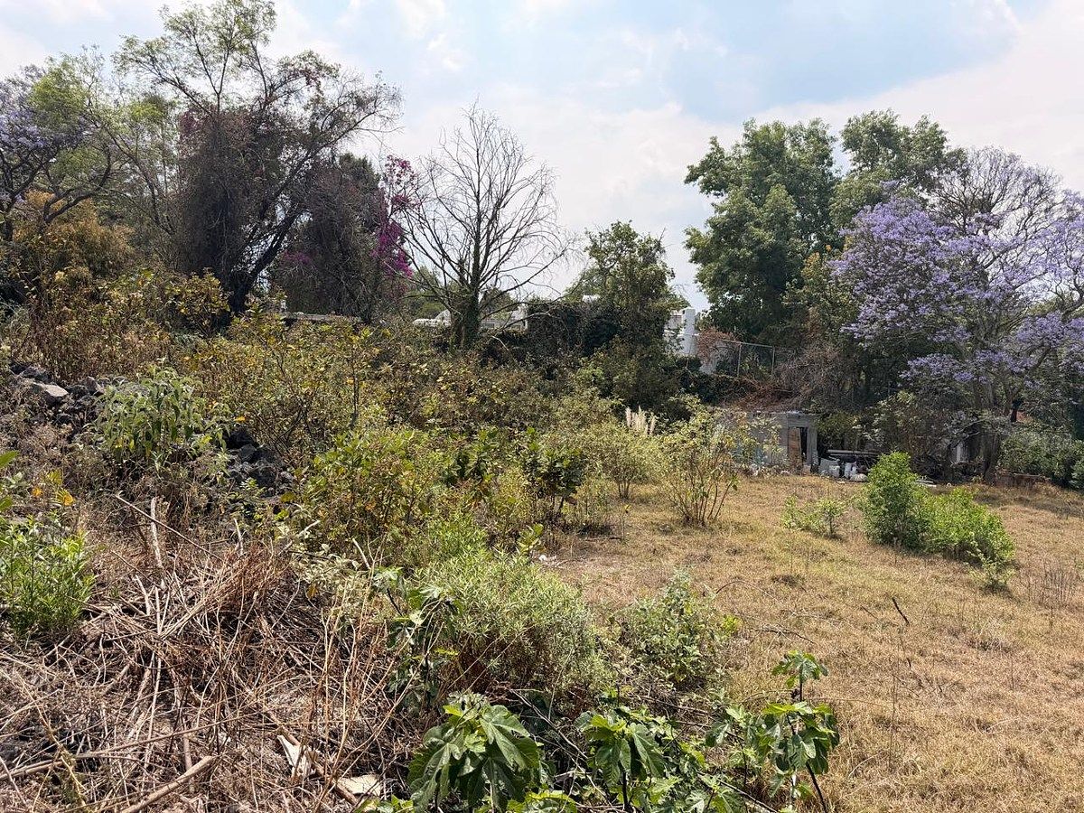 Lote em San Jerónimo Lídice, La Magdalena Contreras, foto 7 de 16