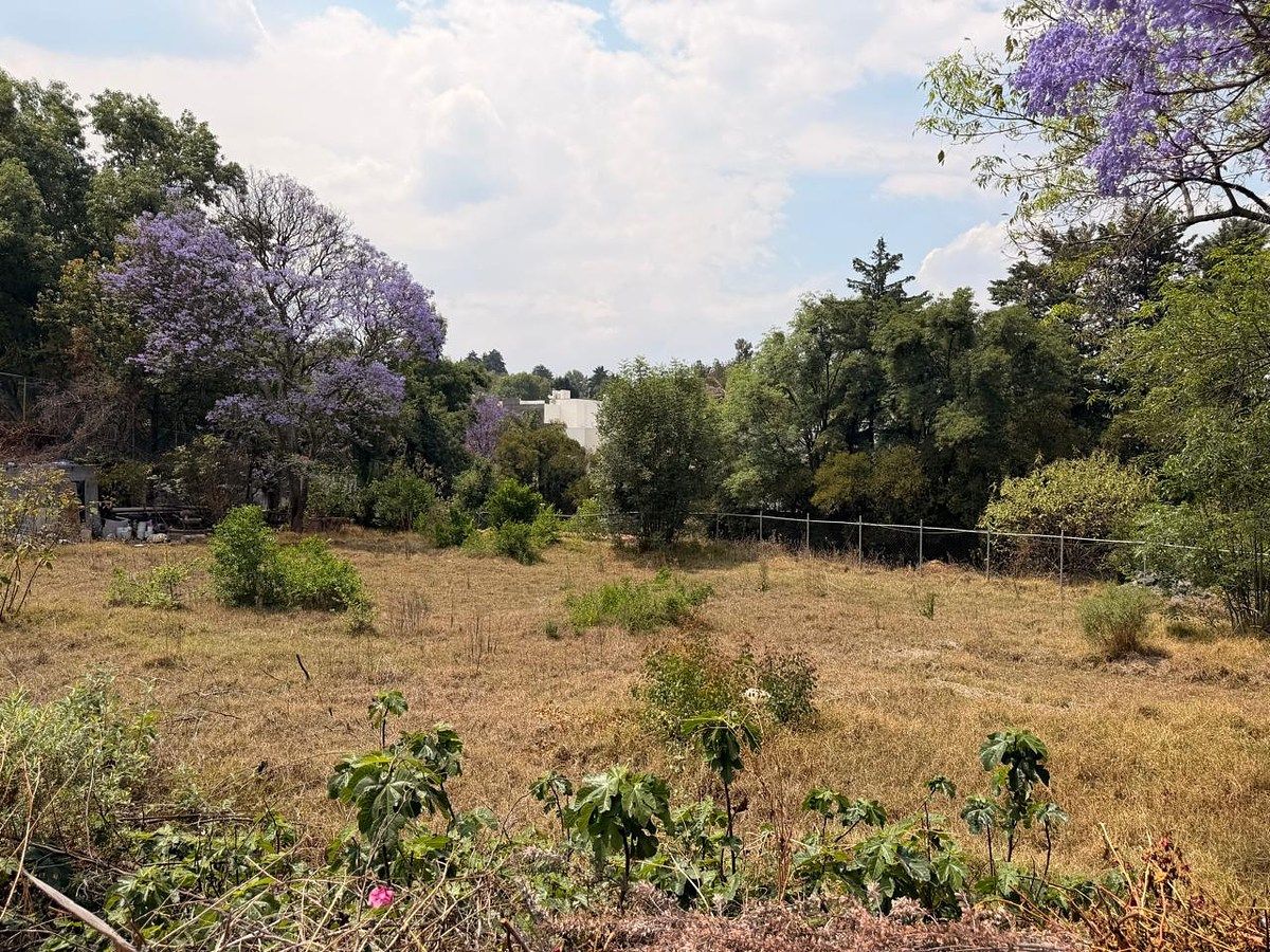 Lote em San Jerónimo Lídice, La Magdalena Contreras, foto 6 de 16