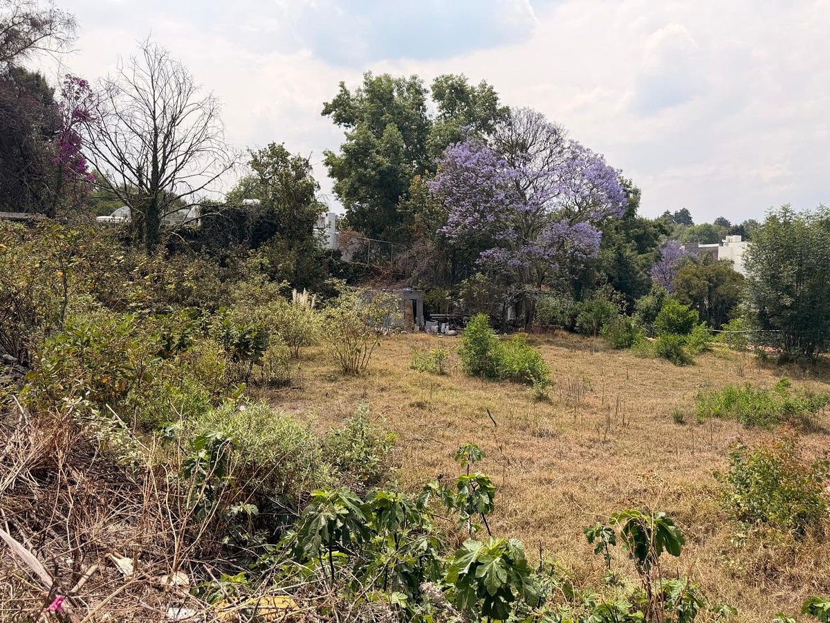 Lote em San Jerónimo Lídice, La Magdalena Contreras, foto 8 de 16