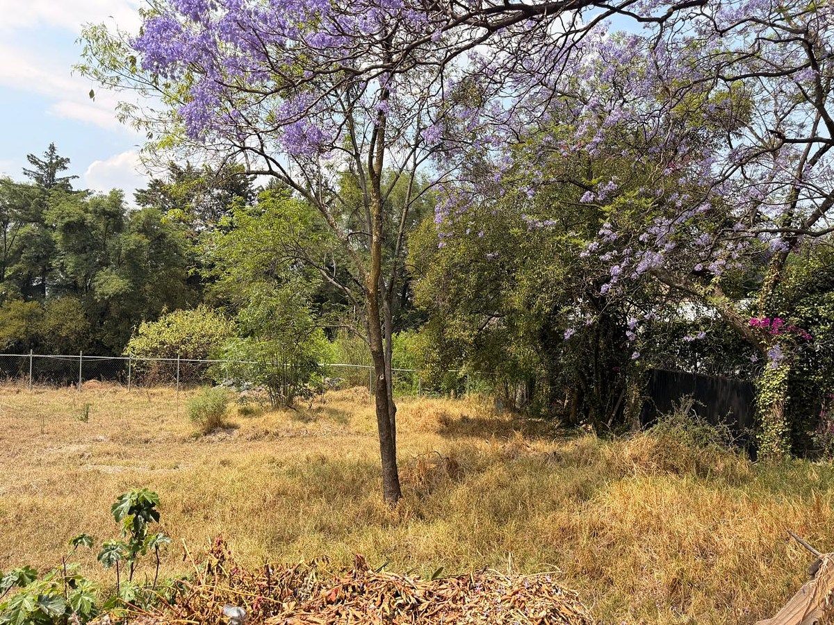 Lote em San Jerónimo Lídice, La Magdalena Contreras, foto 9 de 16