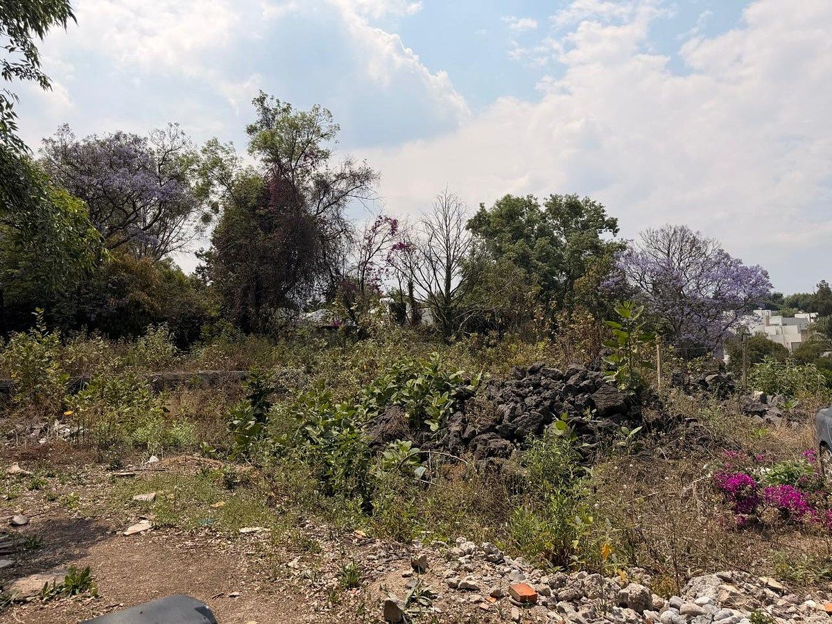 Lote em San Jerónimo Lídice, La Magdalena Contreras, foto 11 de 16