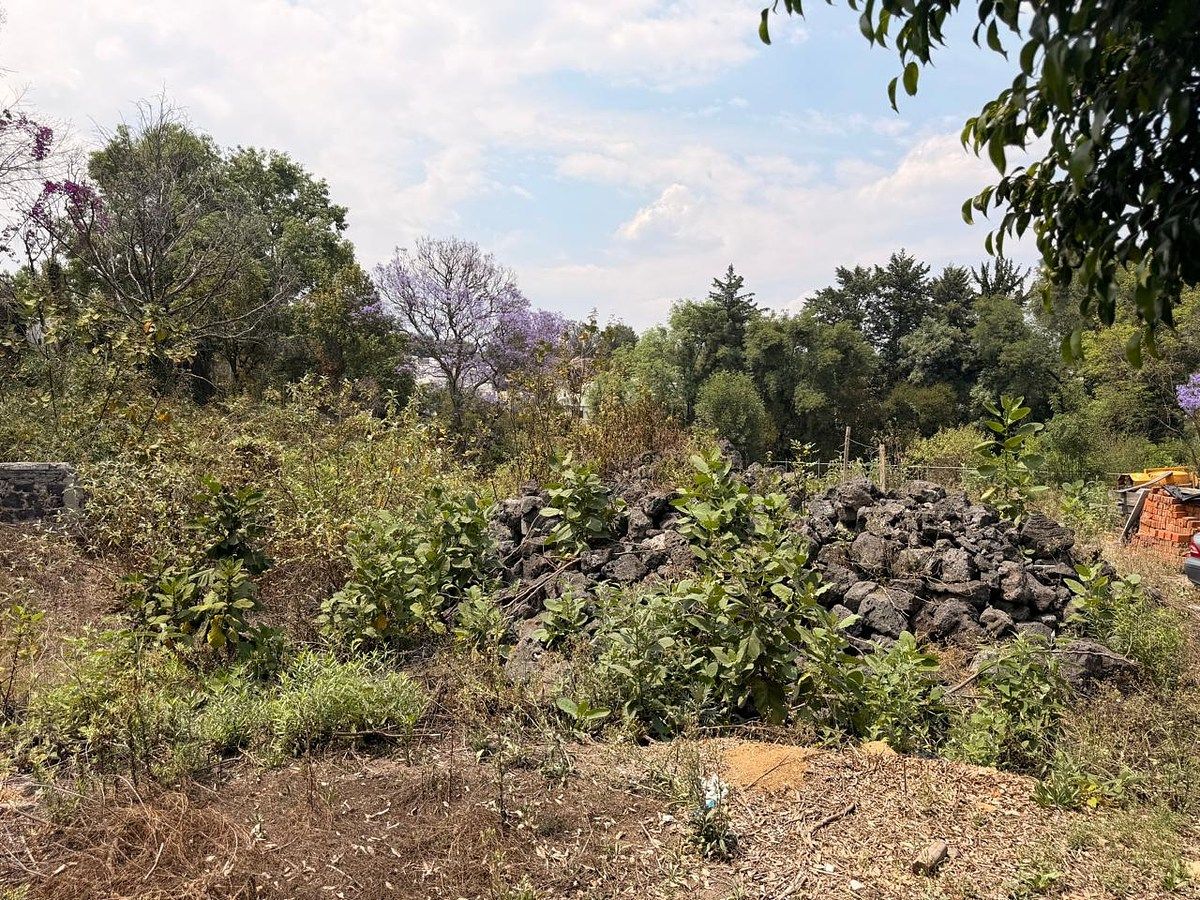 Lote em San Jerónimo Lídice, La Magdalena Contreras, foto 10 de 16