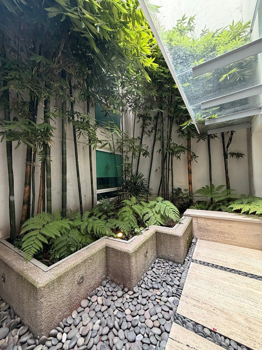 Apartment in Del Valle Centro, Benito Juárez, photo 42 of 50