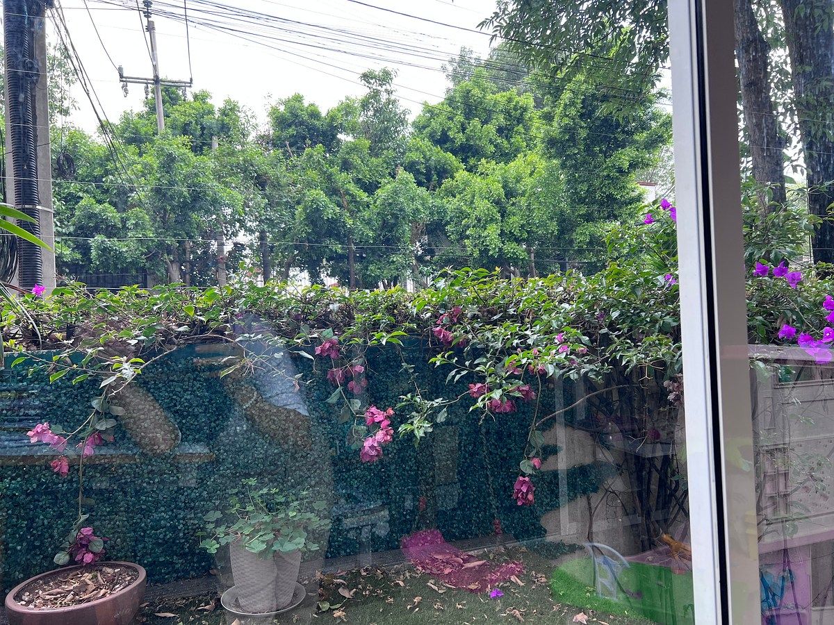 Apartamento em Del Valle Centro, Benito Juárez, foto 7 de 12