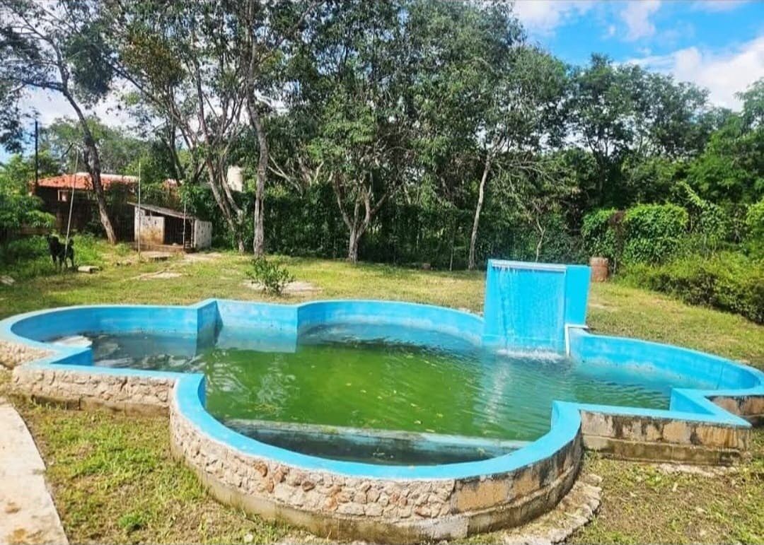 Quinta en Molas, Mérida, foto 7 de 13