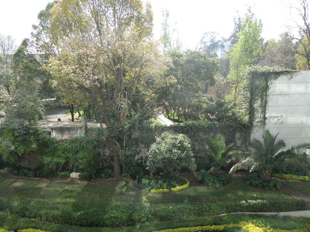 Vista al Parque Bata, foto 1 de 34