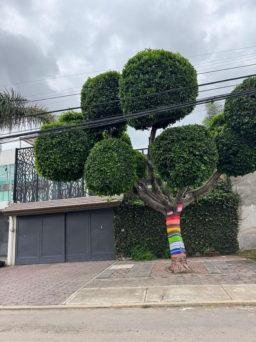 Casa à Venda Momoxpan, foto 1 de 22