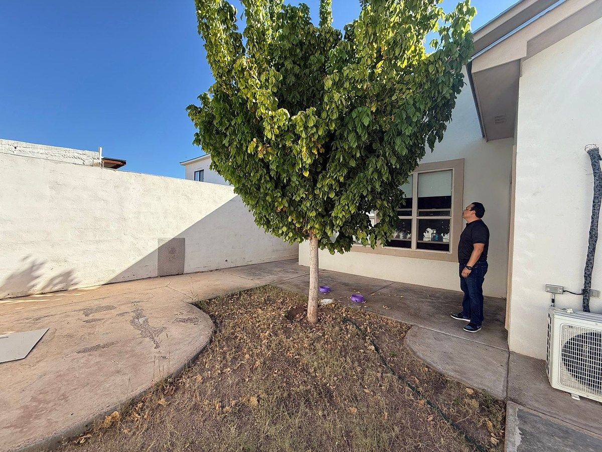 House in Residencial los Leones, Aldama, photo 10 of 16