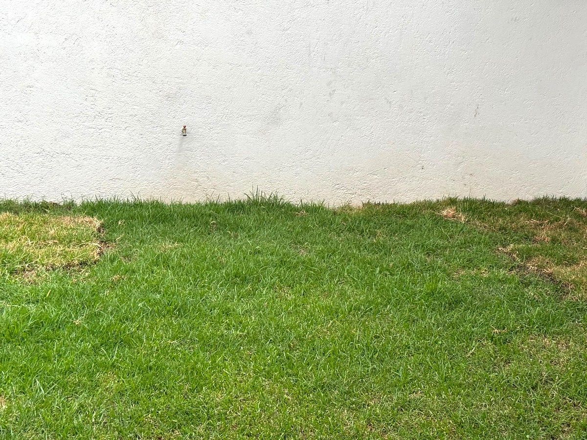 Casa em Ciudad Satélite, Naucalpan de Juárez, foto 31 de 31
