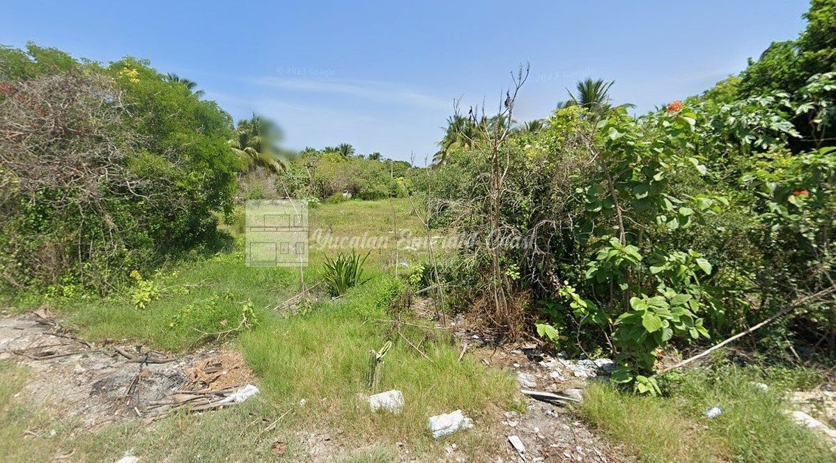 Terreno en Telchac Puerto, Mérida, foto 4 de 4