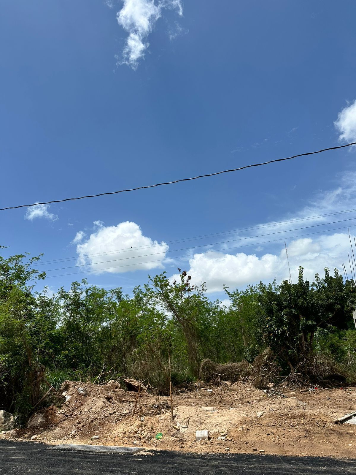 Lote em Conkal, Conkal, foto 7 de 16
